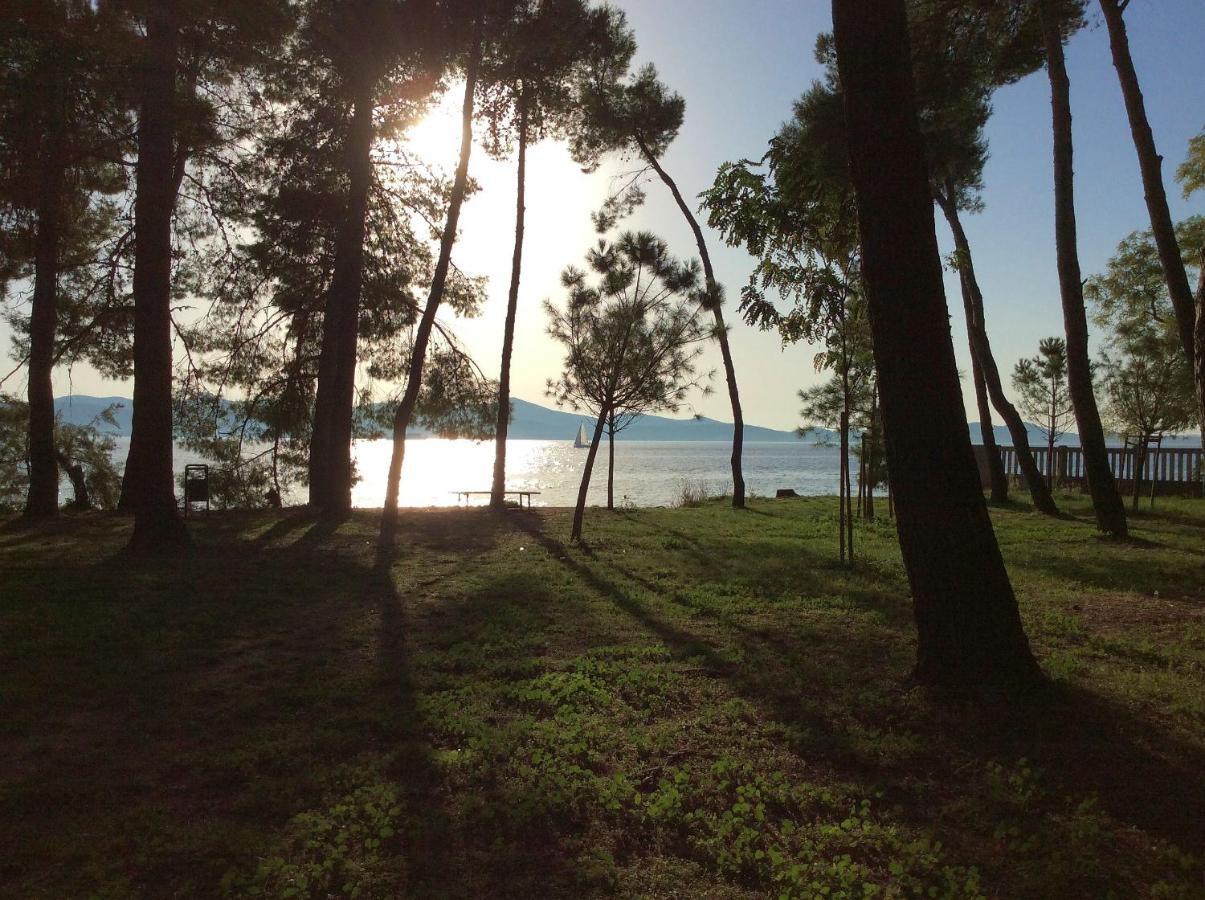 Ferienwohnung Zadar-City Exteriör bild